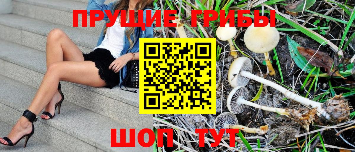 Галлюциногенные грибы MAGIC MUSHROOMS  Псилоцибиновые грибы Cubensis  Вход с VPN  Кирово-Чепецк 